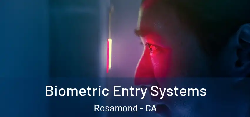 Biometric Entry Systems Rosamond - CA