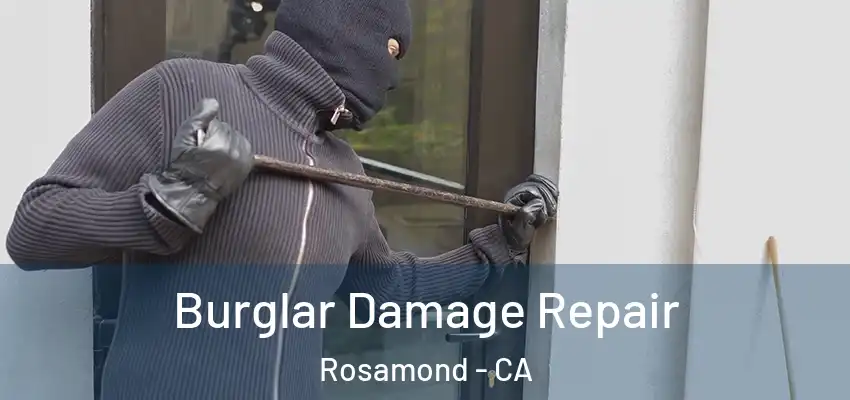  Burglar Damage Repair Rosamond - CA