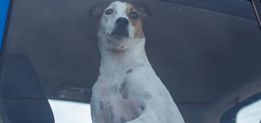 Car Lockout Solutions in Rosamond, California