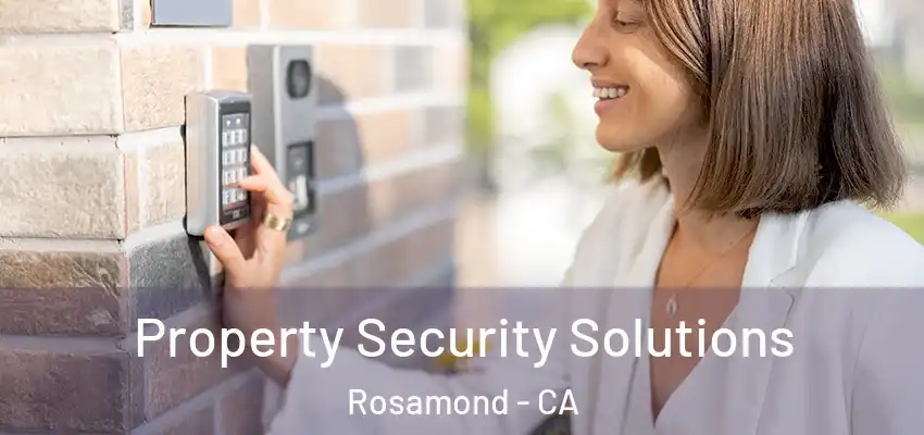  Property Security Solutions Rosamond - CA